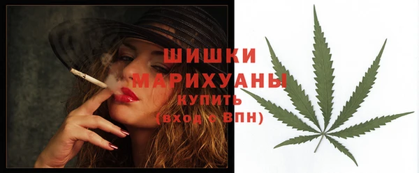 трава Лабытнанги