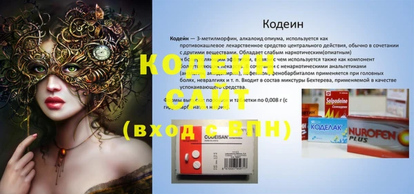 индика Лагань