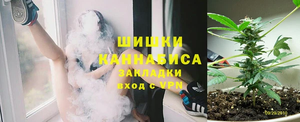 индика Лагань